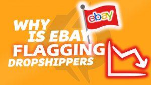 Why is eBay Flagging Dropshippers