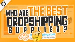 Who Are The Best Dropshipping Suppliers Of 2021